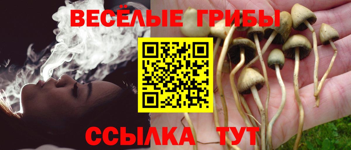 Псилоцибиновые грибы прущие грибы  Вход с VPN  Благовещенск 
