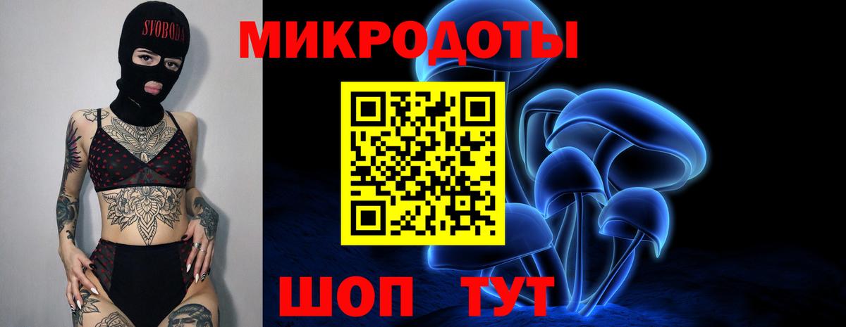 Галлюциногенные грибы прущие грибы Благовещенск